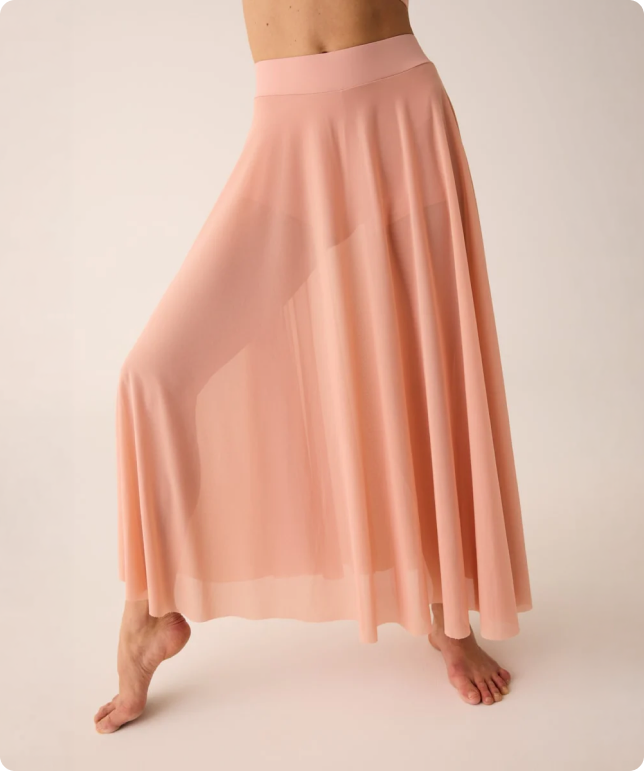 Ballerina con abbigliamento Pridance